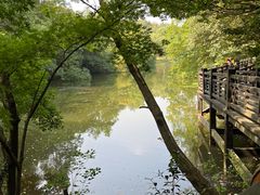 -白马涧龙池景区