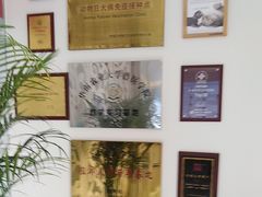 -北京观赏动物医院·24小时大型综合·猫专科·异宠专科