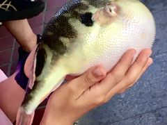 -永安鱼庄·镇江菜(东吴路店)