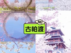 -古柏渡飞黄旅游区