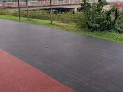 -万绿园