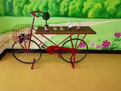 -黄海国家森林公园