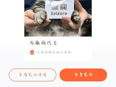 -瑞派天使宠物医院·神经外科·骨科·核磁CT(洛川中路店)
