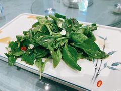 -高玛纳驴肉火烧(河间总店)