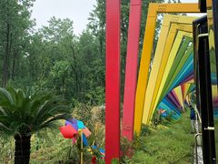 -合肥滨湖国家森林公园