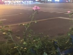 -外婆家(杭州马塍店·杭帮菜名店)