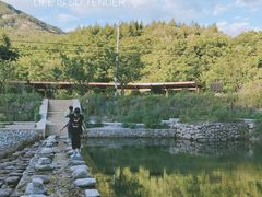 -三块石国家森林公园