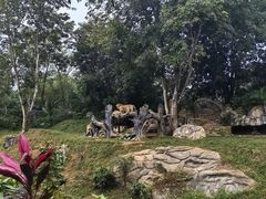 -海南热带野生动植物园