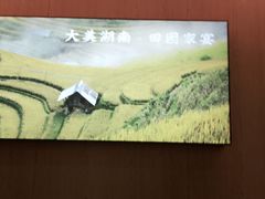 -湘邻呷铺·田园家宴(汉基广场店)