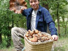 -天宜隆蘑菇宴火锅(石景山旗舰店)