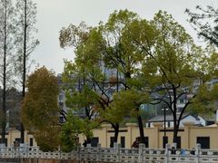 -翠湖公园