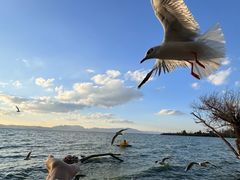 -捞渔河湿地公园