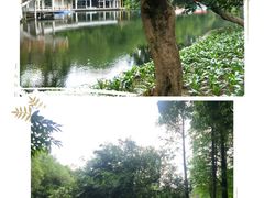 -晓港公园