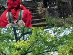 -刘伯温故里景区百丈漈
