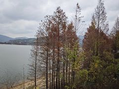 -四明湖