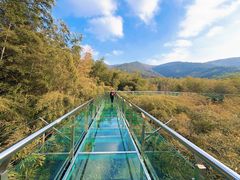 -陶祖圣境风景区