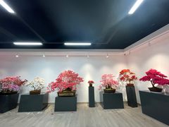 -上海滨江森林公园