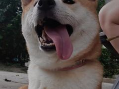 -宠颐生宠物医院·综合诊疗(先锋分院)