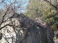 -阳台山自然风景区