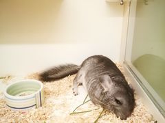 -龙猫仔乐园(惠福东路店)