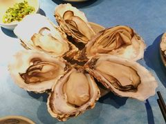 -千岛蚝高压锅生蚝·人参火锅(白云万达店)