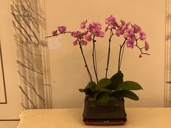 -上海虹桥西郊庄园丽笙大酒店