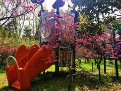 -南汇桃花村