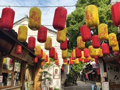 -鲁镇