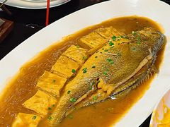 -甄御•海鲜新青岛菜(麦岛店)