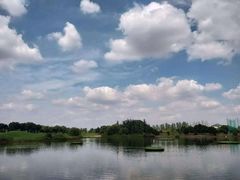 -银涛高尔夫练习场(徐泾店)