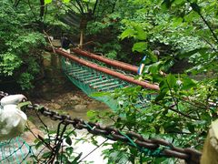 -本溪汤沟绿石谷森林公园