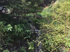 -十八棵（老龙井）御茶园(老龙井店)