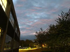 -泰菩提树下·泰式按摩SPA(沙坡尾店)