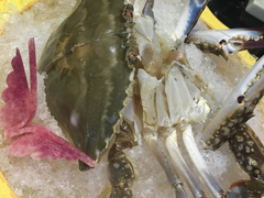 -渔傅·蓝海岸霞浦海鲜(正祥店)
