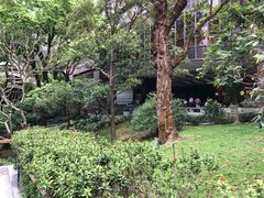 -香港大学