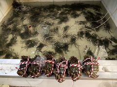 -七的湖·江南蟹舫·阳澄湖农家菜(蟹舫苑店)
