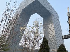 -中央广播电视总台(光华路办公区)