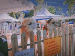 -萌宠亲子动物乐园(槐房万达店)