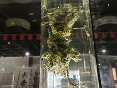-广东中医药博物馆