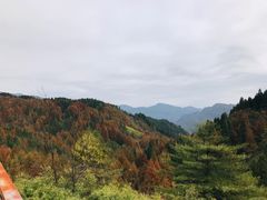 -山王坪喀斯特国家生态公园