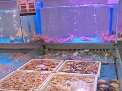 -金成潮菜博物馆(海珠湿地店)