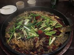 -老板恋上鱼(环山路店)