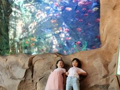 -杭州开元森泊度假乐园