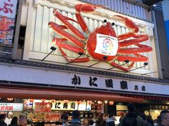 -蟹道乐(道顿堀本店)