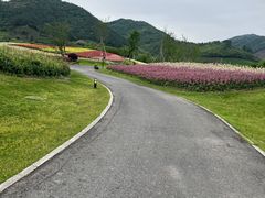 -径山花海