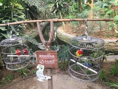 -南宫五洲植物乐园