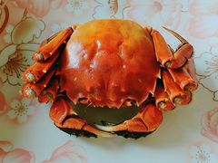 -小陆莲花蟹园农家乐(莲花岛店)