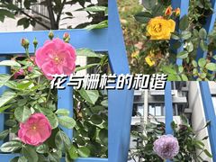 -南京邮电大学(仙林校区)