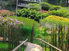 -云溪植物园