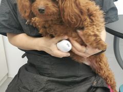 -美联众合24小时·皮肤科·外科·全科诊疗中心(华苑分院)